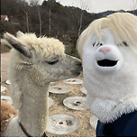 과연 티모시 샬라메와 티모시 샬라마는 만날까? 이미지