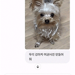 지피티야 우리 강아지 여권사진 만들어줘.gif 이미지