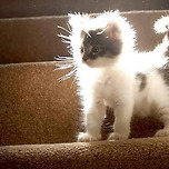 갤럭시 이미지 재구성 기능 써본 후기 이미지