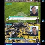 요즘 남극 근황 이미지