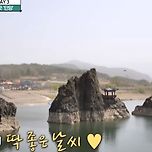 한국 중년여성들의 인싸력이 만든 멕시코 아버지들 콘서트 (어서와한국은처음이지) 이미지