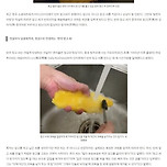 요즘 중국에서 유행이라는 망고씨 키우기 이미지