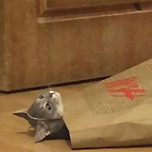 300억 생기면 우리나라에서 계속 산다 vs 이민 감 이미지