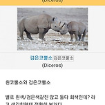 대충살자.. 검은코뿔소 이름 지은 학자들처럼 이미지