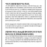 롤링스톤이 쓴 제니 코첼라 칼럼.jpg 이미지