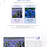 이월드 퍼플 아일랜드 이미지