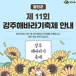 함안군 강주해바라기 축제 이미지
