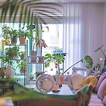 화초덬의 홈카페 사공해봄 이미지