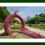 [서울 노원] 당현천(堂峴川) 산책 이미지