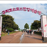 [경기 구리] 구리코스모스한가예술제(구리한강시민공원) 산책 이미지