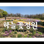 [서울 노원] 초안산(楚安山) 하늘정원의 봄 / 春 이미지