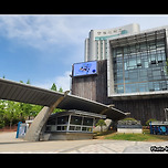 [서울 동작] 상도이팝나무꽃거리(숭실대 ↔ 상도역) 산책 이미지