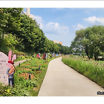 [서울 노원] 노원수변공원 당현천 산책 이미지