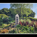 [서울 마포] 하늘공원의 여름 / 夏 이미지