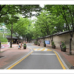 [서울 중구] 정동(덕수궁돌담길)길 산책 이미지