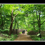 [충북 보은] 속리산 법주사(法住寺) 탐방 이미지