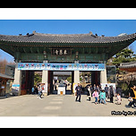 [서울 강남] 수도산(修道山) 봉은사(奉恩寺)의 봄 / 春 이미지