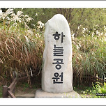 [서울 마포] 하늘공원 산책 이미지