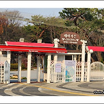 [경기 과천] 서울대공원 테마가든의 가을 / 秋 이미지