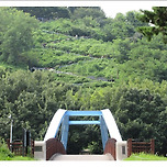 [서울 마포] 하늘공원의 여름 / 夏 이미지