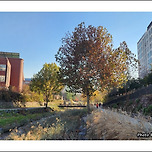 [서울 노원] 당현천(堂峴川)의 가을 / 秋 이미지