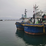 자갈치 시장 이미지