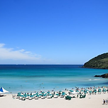 제주도는 바다 보러 가는 곳 아닌가? 이미지