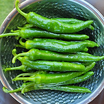 2024년 햇 고추 이미지