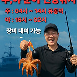 군산 강남호 문어 조황 이미지