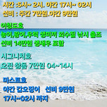 군산 강남호 갑오징어 출조 일정 이미지