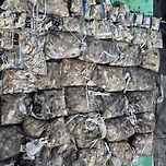 9월14일 군산 강남호 쭈꾸미 망탱이 대박 조황 이미지