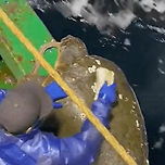 어부에게 잡혀 서비스 받는 거북이 이미지