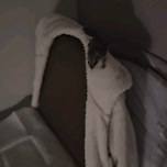 주말엔 창고방에 다람쥐 방목 이미지