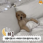 사람마다 갈린다는 침대 허용 가능한 범위 이미지