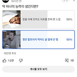 현재 유투브에서 19만명 투표했는데 딱 50대50으로 갈리는 투표 이미지