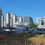 2025 V13 가즈아 이미지