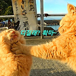 똑같은 패턴의 멍청한 역전패에 팬들 다 떠난다. 이미지