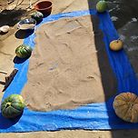 선풍기에 껍데기 날리고 들깨 말리기 이미지