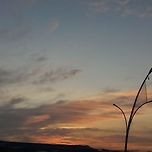 Sunset in sea 이미지