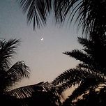 🌙 이미지