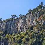 박수기정 이미지