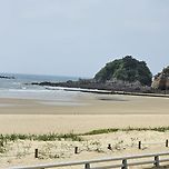 태안 세계 튤립꽃 박람회 이미지