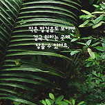 짧고 좋은 글귀 모음 좋은 글 이미지 이미지