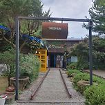 안동 고센 피제리아 고양이 이미지