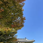 행궁동의 단풍 이미지