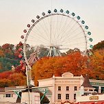 단풍구경은 핑계고🐓 놀이공원 단풍사진+정보 모음.zip 이미지