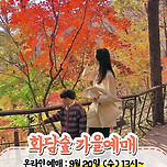 올해도 매진인 화담숲 단풍축제 이미지