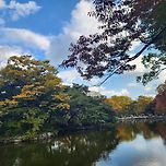 창덕궁, 창경궁 단풍 사진 이미지