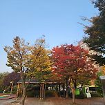 단풍 10월 25일 이미지