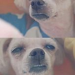 [슬레이어즈 TRY] 공식 앨범 발매 기념 / Somewhere 한국어 MV 최초공개 (노래 : 김현지) 이미지